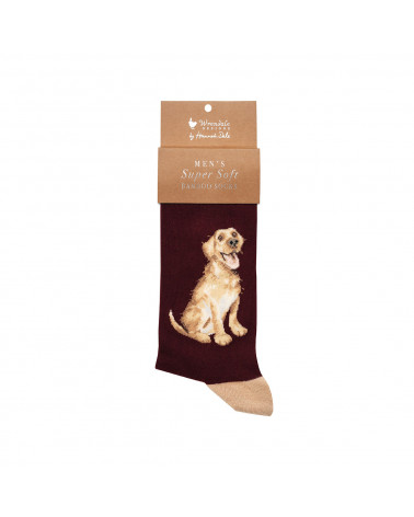 Chaussettes Hommes Wrendale en fibres de Bambou motif LABRADOR