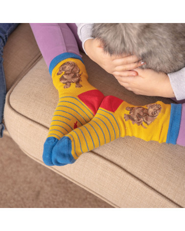 Chaussettes enfant Wrendale par Hannah Dale motif chien - Fibre de bambou T27/31