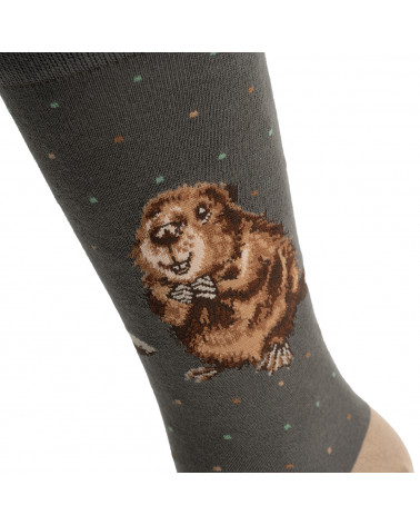 Chaussettes Hommes Wrendale en fibres de Bambou motif castor
