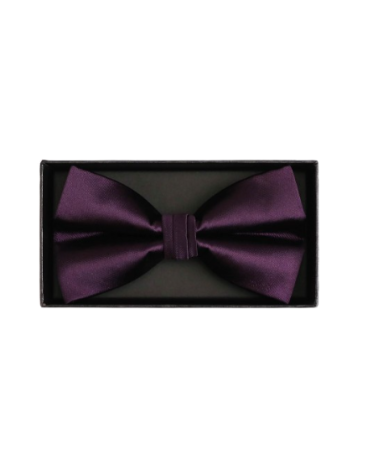 Coffret noeud papillon et pochette assortie coloris prune - Chapo & Co
