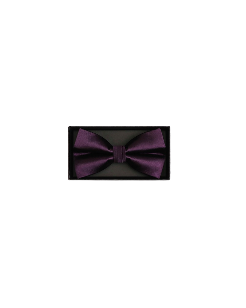 Coffret noeud papillon et pochette assortie coloris prune - Chapo & Co