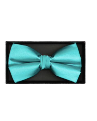 Coffret noeud papillon vert clair avec pochette assortie