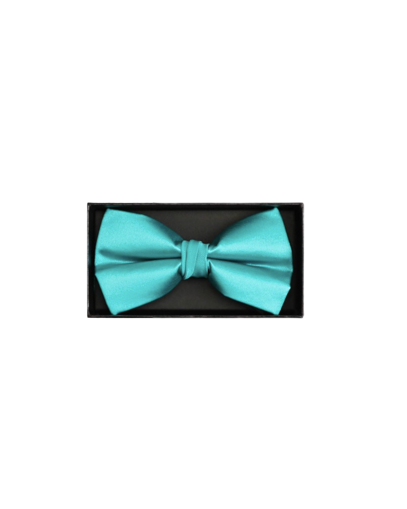 Coffret noeud papillon vert clair avec pochette assortie